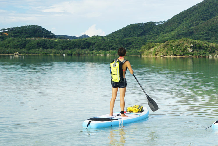 Pro-Vis Backpacks